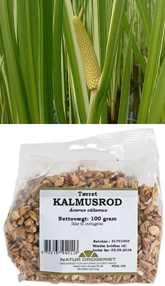 Kalmus og Kalmus Rod